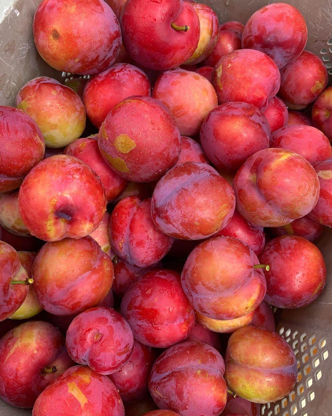 浅利そのみのグルメインスタ