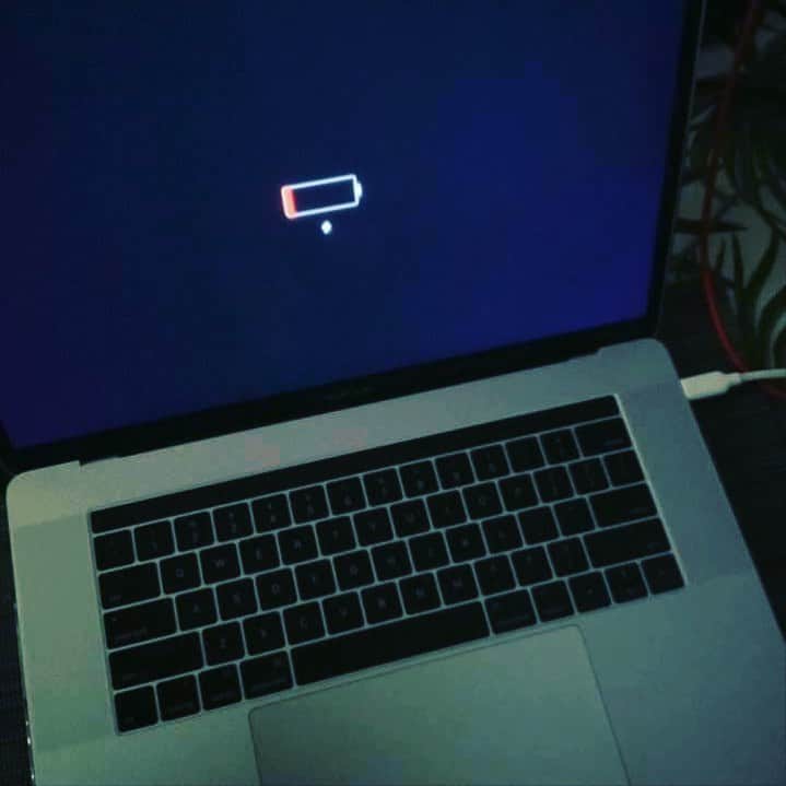 tokuのインスタグラム：「起きて〜 Don't get up😢」