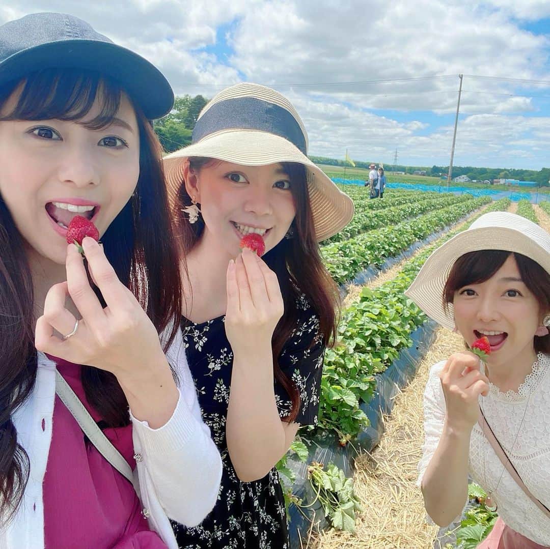 谷藤博美さんのインスタグラム写真 - (谷藤博美Instagram)「先日、佐藤アナと大堀アナと一緒に﻿少し足を延ばして千歳市まで﻿ いちご狩り🍓に行ってきました・・・！﻿ ﻿ 誰かと出かけること🚗﻿ ﻿ 一緒にご飯を食べる事🍽﻿ ﻿ マスクを外して外の空気を思いきり吸う事﻿ ﻿ 自然に囲まれる事⛰🍓﻿ ﻿ ﻿ どれも本当に久しぶりで﻿ ﻿ 何をするのも﻿ ﻿ 楽しくて、嬉しくて、﻿ ﻿ 少し泣きそうになりました。﻿ ﻿ ﻿ 道を間違えて 遠回りするハプニングも﻿ ﻿ 「北海道の景色って本当に素晴らしいなぁ」と浮かれてしまいます。（笑いが絶えないのはメンバーのおかげもありますが)﻿ ﻿ 北海道の雄大な自然に 囲まれた景色が大好きだ！！！﻿ ﻿ と改めて実感しました。﻿ ﻿ ﻿ ﻿ いちご狩りにお邪魔したのは﻿ ﻿ ‘ふれあいファームいずみ’さん﻿ ﻿ 時間無制限で大人800円！﻿ ゆった～～りといちご狩りが楽しめます🍓﻿ 最初と最後に写真を撮る時は集合 しましたが、苺を摘んでる間は完全に別行動。各々摘んでは食べておりました。笑  いちごは大好きなので、﻿ スーパーの特価価格をみつけると﻿ つい買ってしまうので﻿ 今年にはいってかなり食べてきたのですが﻿ ﻿ 2020年食べたイチゴの中で﻿ 一番甘くておいしく感じました🥰﻿摘みたては格別ですね。 ﻿ 併設されているレストランで頂いた﻿ 手打ちの十割そばもおいしかったです。﻿ ﻿ イチゴは冬のイメージもありますが﻿ 北海道の露地栽培はまさに今が旬✨﻿ ﻿ 7月中旬から下旬頃まで﻿ たのしめるそうです♪﻿ ﻿ ﻿ ﻿ 車での移動中はマスクの着用＆換気﻿ ﻿ ご飯を食べるときは横並びにする﻿ ﻿ 手洗いの徹底！  を心がけながら  コロナ以前とは少し違う﻿ ﻿新しいスタイルでの “プチ旅”となりました。﻿ ﻿ ﻿ 移動自粛制限が解けたからといって﻿ 油断はできませんが﻿ ﻿ 3密を避けながら、感染予防対策をしつつ﻿ ﻿ 大好きな北海道を　少しずつ楽しんで行きたいと思います😊﻿ ﻿ ﻿ ﻿#北海道　#hokkaido #北海道放送　#アナウンサー　#谷藤博美　#佐藤彩　#大堀結衣　#いちご狩り　#いちご　#三密は避けて　#そば　#ふれあいファームいずみ #ドライブ　#プチ旅　#千歳市　#道内旅行　#strawberry #苺」6月25日 13時54分 - tanifuji_63
