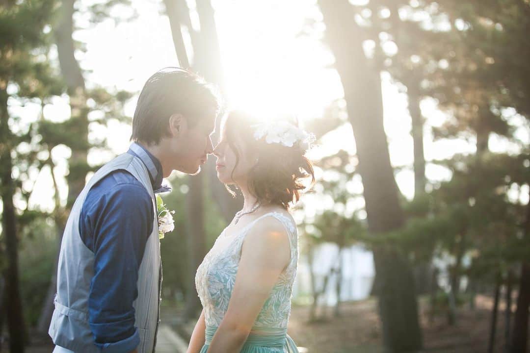 指帆亭のグルメインスタ