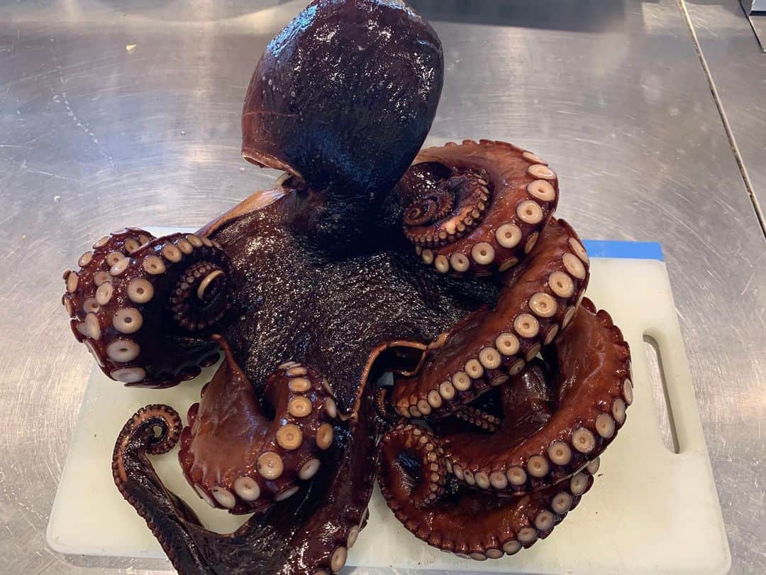 サルヴァトーレクオモ小矢部のグルメインスタ