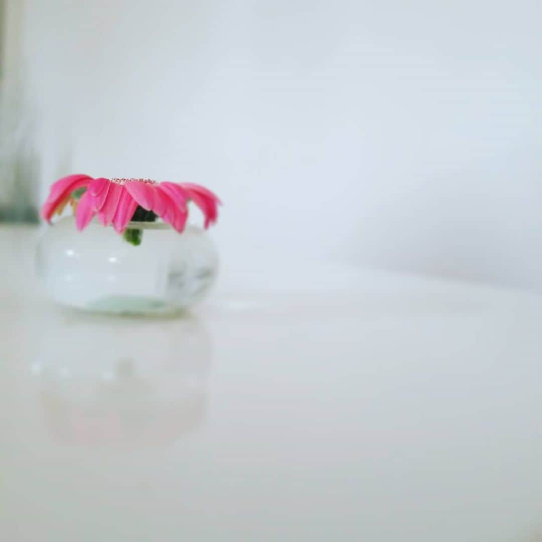 彩乃かなみさんのインスタグラム写真 - (彩乃かなみInstagram)「﻿ ﻿ 茎の根本から﻿ くたっとなってしまったお花の救出に﻿ 大活躍なミニガラス瓶﻿ ﻿ 普通の花瓶に生けられなくなっても﻿ ここから結構お花がもつのと﻿ ﻿ ﻿ なにより可愛い…﻿ ﻿ ﻿ #元は頂き物のポプリ入り置物瓶﻿ #10年越え現役選手﻿ #おまけ﻿ #ホームメイドレモンケーキ﻿ #ローズベーカリーレシピ﻿ #レモンアイシング 抜き﻿」6月25日 15時25分 - kanamiayano.official