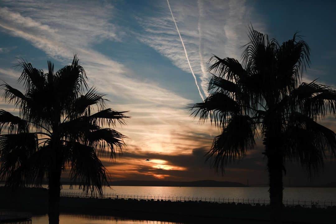 17人をフォロー中 【結婚式場】ラヴィマーナ神戸ウエディングのグルメインスタ