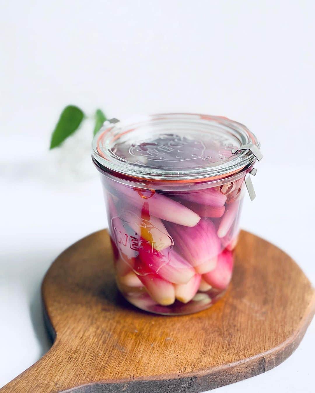 Chinamiさんのインスタグラム写真 - (ChinamiInstagram)「Pickled shallot🌱 #vegetables #野菜 紫らっきょうの甘酢漬け . #らっきょう #甘酢漬け」6月25日 22時10分 - chinamiphoto