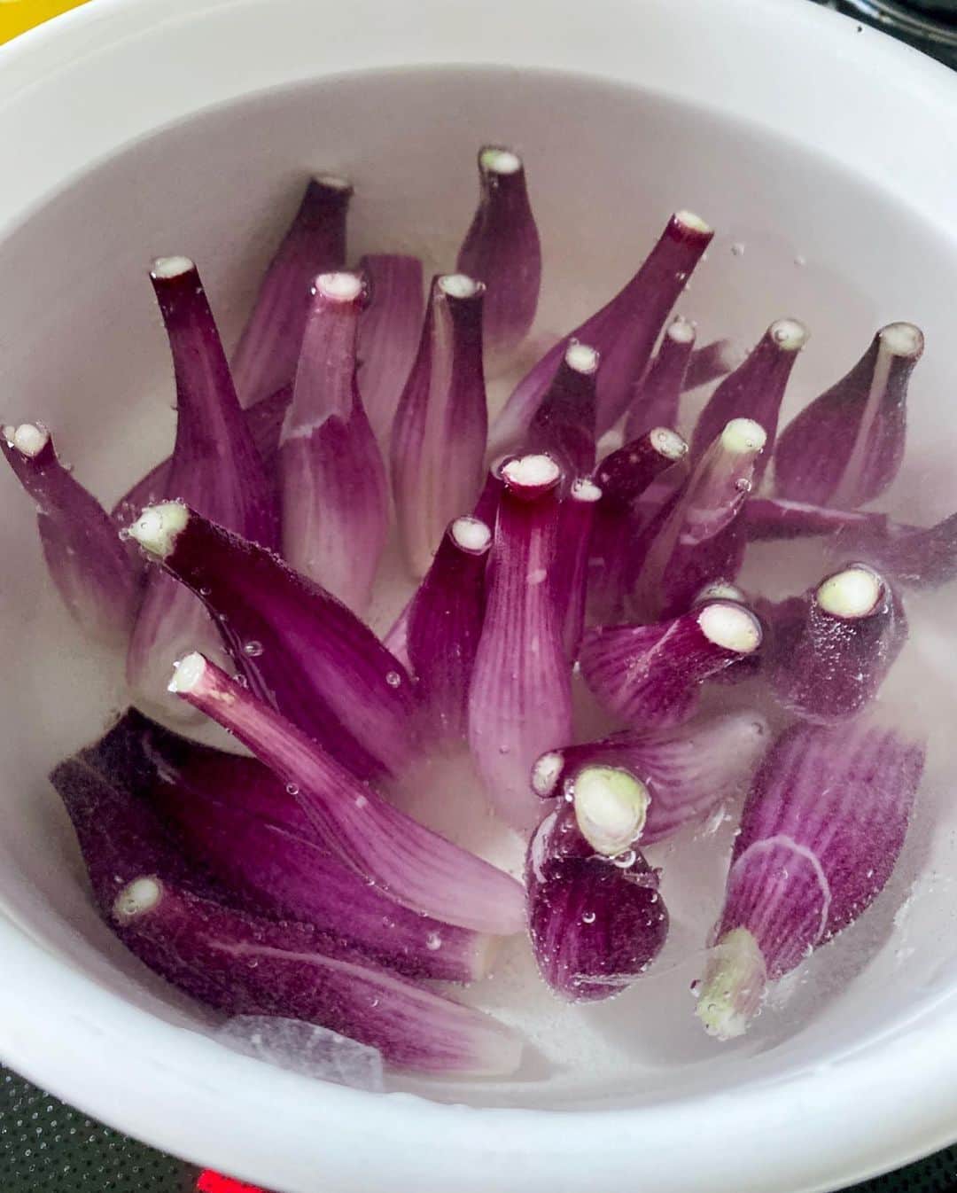 Chinamiさんのインスタグラム写真 - (ChinamiInstagram)「Pickled shallot🌱 #vegetables #野菜 紫らっきょうの甘酢漬け . #らっきょう #甘酢漬け」6月25日 22時10分 - chinamiphoto