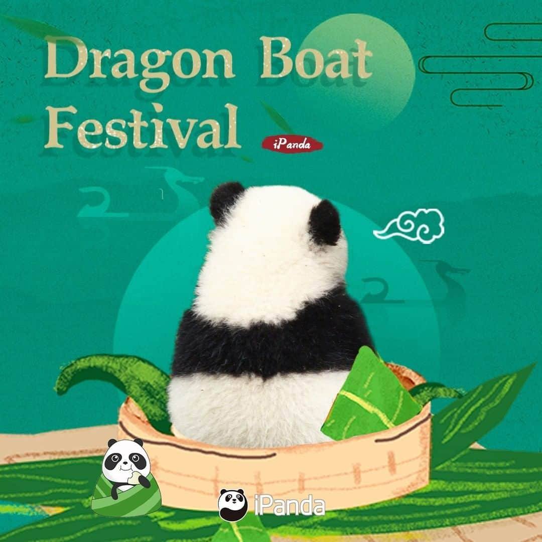 iPandaさんのインスタグラム写真 - (iPandaInstagram)「The Dragon Boat Festival falls on the fifth day of the fifth Chinese lunar month. A gentle reminder from pandas: Don’t forget to eat Zongzi during this significant festival! 💕 🐼 💕  #ChineseCulture #panda #ipanda #animal #pet #adorable #China #travel #pandababy #cute #photooftheday #Sichuan #cutepanda #animalphotography #cuteness #cutenessoverload #giantpanda」6月25日 16時51分 - ipandachannel