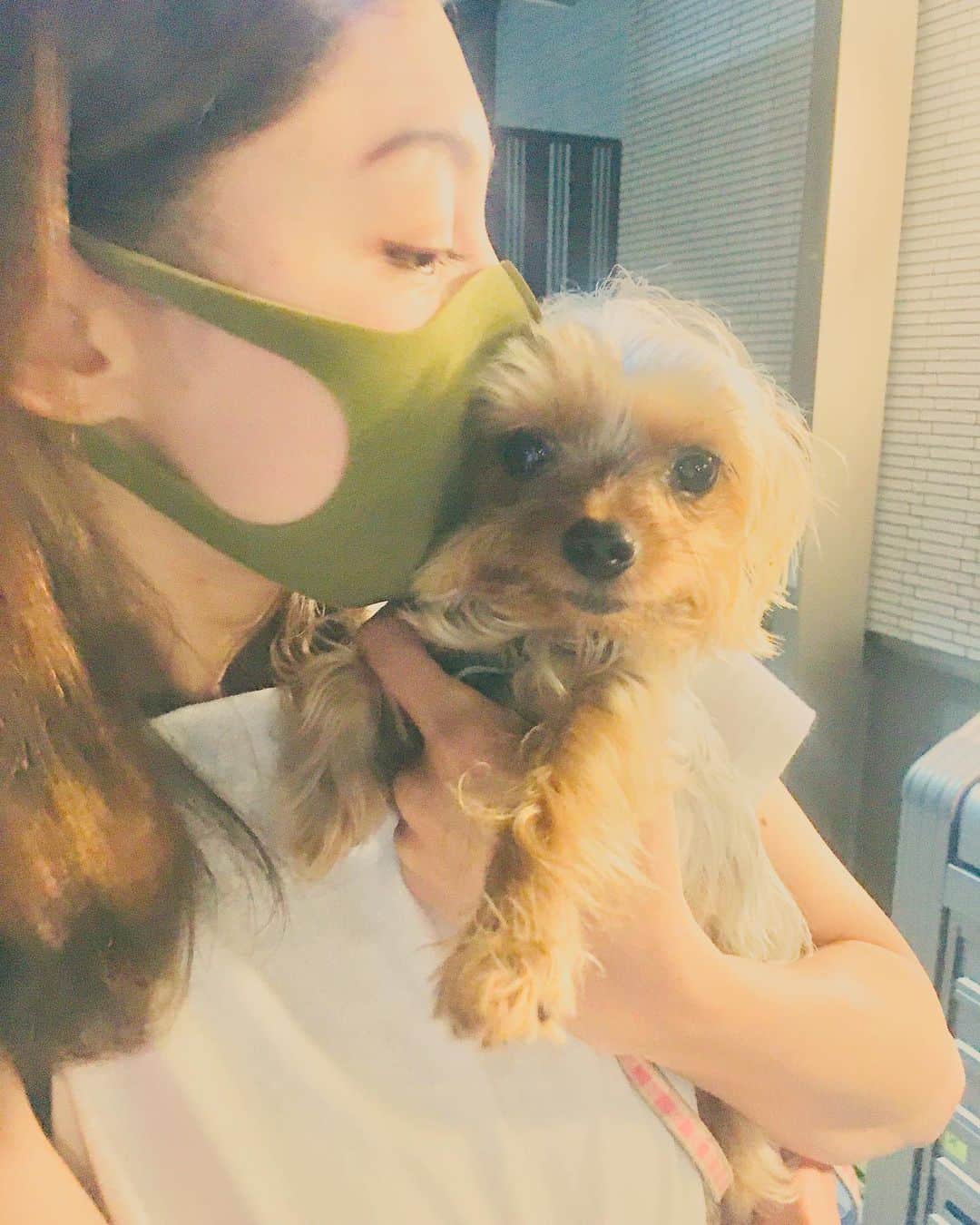 横山エリカのインスタグラム：「the startled dog and the lady with the green face mask💁‍♀️🐶 抹茶マスクお気に入り😆」