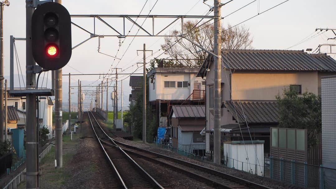 伊藤桃さんのインスタグラム写真 - (伊藤桃Instagram)「【#伊豆箱根鉄道駿豆線 #伊豆仁田駅 】#いずっぱこ の旅もいよいよラスト。 最後に乗ったのは·····いきに見た✨#伊豆箱根鉄道1300系 の西武さんカラー！ #イエローパラダイストレイン ^^* 🚉 2.3枚目: すっかり夕暮れ時、日常の伊豆仁田駅·····´`* この駅のこの日常感と、真っ直ぐに伸びる線路がすてきだったな····· 4枚目: 車窓からみた夕陽と富士山(●︎´▽︎`●︎) 6枚目:そして終点三島駅へ！ゴール✨♡ 🚉 ここからはももが気になったおまけへん。笑 7枚目: 伊豆仁田駅前にある可愛らしい居酒屋さん。いってみたいー！ 8枚目: 三島駅にて。むかしなつかし冷凍みかん🥰 🚉 9枚目: 一緒にたびをしてくれたゆうちゃんとパチリ♡ ✂︎-----------------㋖㋷㋣㋷線-------------------✂︎ のんびりつづってきた伊豆箱根鉄道の旅もここでおしまい🥰 楽しかったし早く乗り鉄行きたいなあ✨ また次の旅に·····つづく！ヽ(*´∀｀)ノ」6月25日 17時07分 - itomomo_tetsu