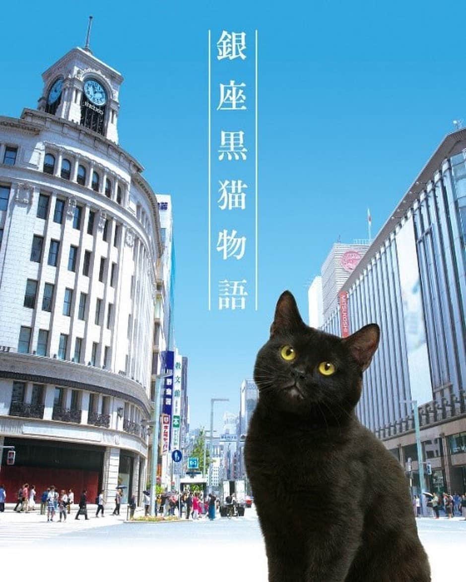 秋山ゆずきさんのインスタグラム写真 - (秋山ゆずきInstagram)「【お知らせ】  銀座黒猫物語  第2話に出演させて頂いてます！ 水石さんと夫婦役をやらせてきただきました。 ぜひ、ご覧下さい🐱🐱🐱 カンテレ 2020年7月16日（木）24:40 スタート  第2話以降毎週木曜 24:25～ ※初回のみ放送時間が異なる  TOKYO MX 2020年7月21日（火）スタート 毎週火曜 20:26～ 東海テレビ 2020年7月29日（水）スタート 毎週水曜 25:02～ 青森テレビ 2020年8月10日（月・祝）スタート 毎週月曜 24:59～ ＜無料見逃し配信＞ カンテレドーガ、TVerほか 2020年7月17日（金）10:00～ ＜第2話 銀座夏野編＞ 岡本夏美、水石亜飛夢、吉田ウーロン太、菅野久夫、牧田哲也、秋山ゆずき  #銀座黒猫物語 #猫 #黒猫」6月25日 17時44分 - yuzukiakiyama