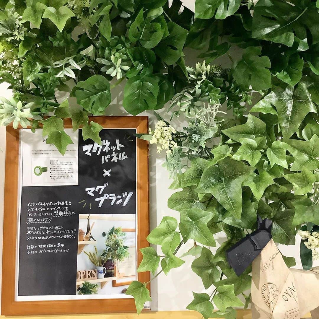横浜ディスプレイミュージアムのインスタグラム：「皆さん、こんにちは☀️ ✳︎ 横浜ディスプレイミュージアム2階から マグネットパネルで作る壁面緑化のご提案です♪ ✳︎ マグネットパネルとマグプランツを組み合わせれば、 ピタッと磁石でくっつけるだけ！で簡単に壁面緑化ができます♬ ✳︎ これから始まる夏の暑い時期に向けて、 手軽に壁面緑化を始めて見ませんか？✨ ✳︎ ✳︎ #おうち時間 #こんな時こそ花を ✳︎ #横浜ディスプレイミュージアム #株式会社ポピー #横浜 #ディスプレイ#アーティフィシャルフラワー #フラワーアレンジメント #フラワーデザイン #インテリア雑貨 #インテリア#インテリアコーディネート#スタイリスト#装飾#デコレーション  #壁面緑化 #花のある暮らし #花好きな人と繋がりたい #display #yokohama #flowerarrangement #interiordesign #artficialflower #flowerstagram」