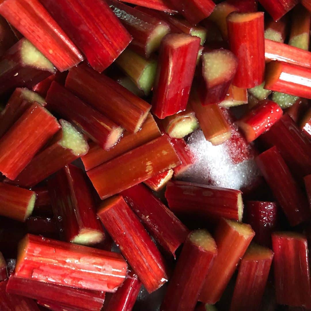 サルボ恭子さんのインスタグラム写真 - (サルボ恭子Instagram)「making of rhubarb jam.﻿ faire de la confiture de rhubarbe.﻿ ﻿ ﻿ #ジャムは一気に仕上げます#rhubarbjam#confiture#confituremaison#季節の手仕事#サルボ恭子#kyokosalbot」6月25日 17時54分 - kyokosalbot
