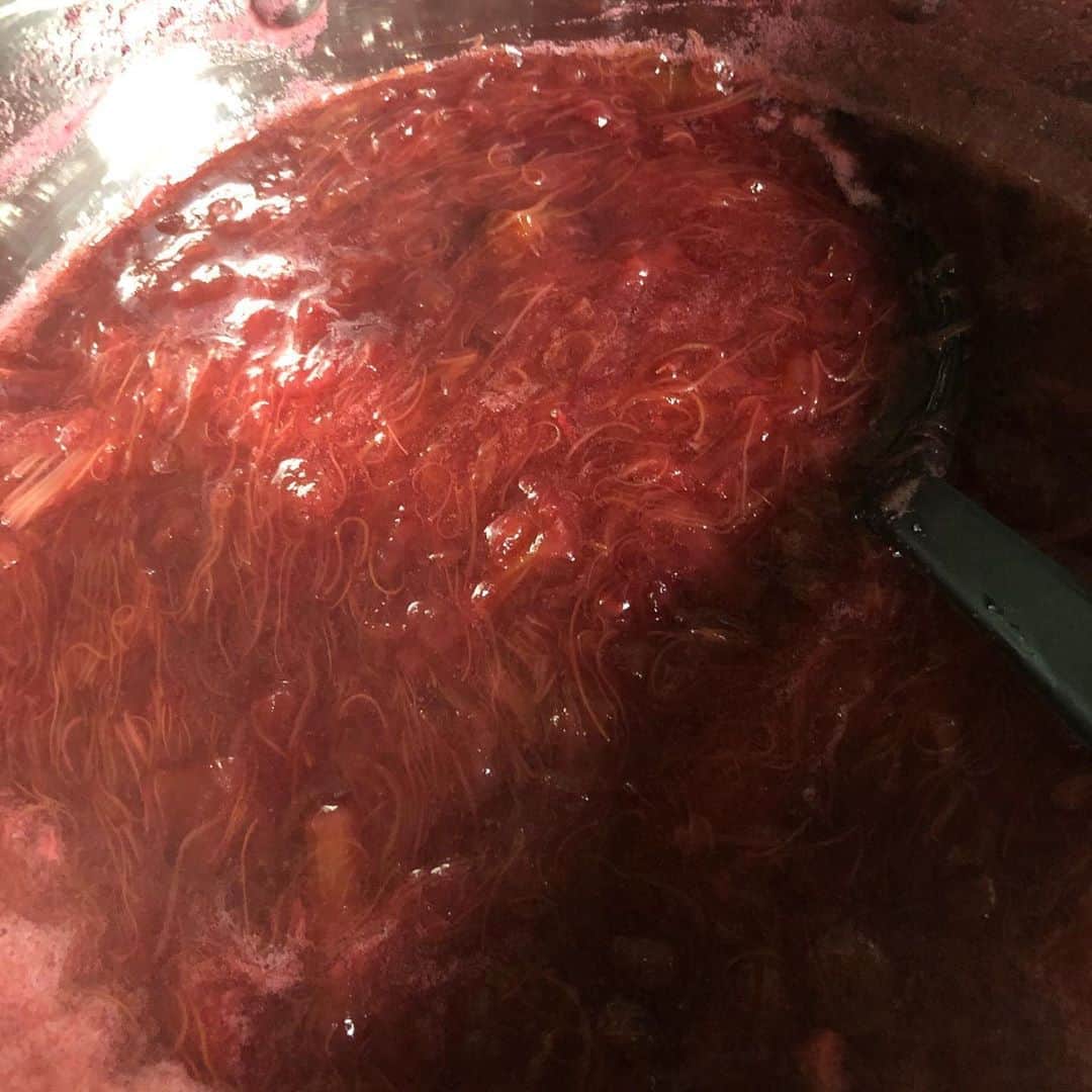 サルボ恭子さんのインスタグラム写真 - (サルボ恭子Instagram)「making of rhubarb jam.﻿ faire de la confiture de rhubarbe.﻿ ﻿ ﻿ #ジャムは一気に仕上げます#rhubarbjam#confiture#confituremaison#季節の手仕事#サルボ恭子#kyokosalbot」6月25日 17時54分 - kyokosalbot
