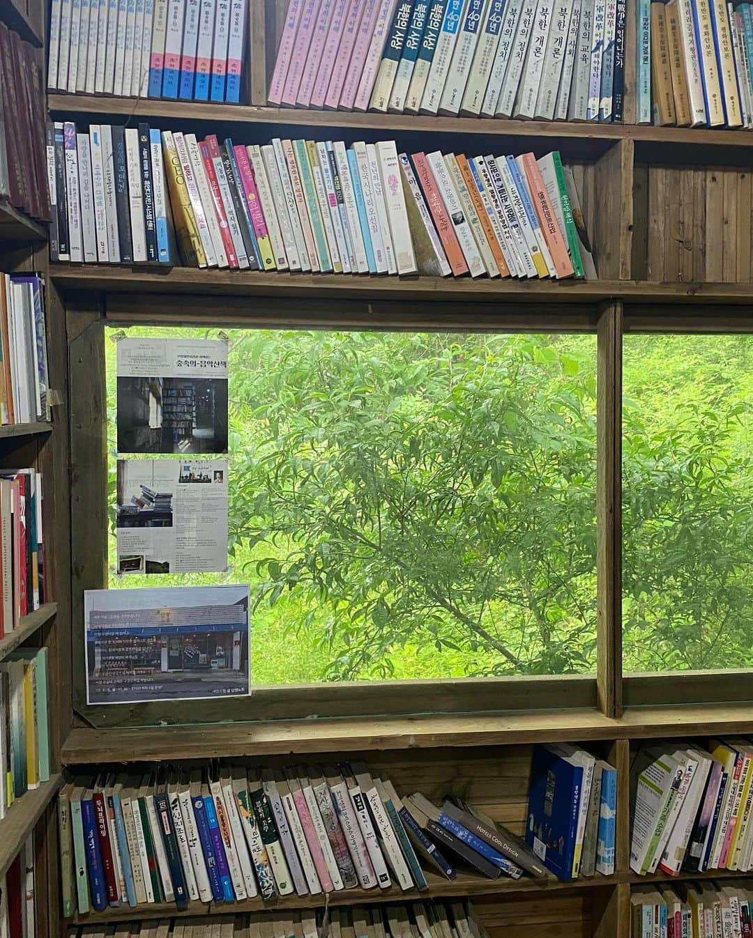 イェソンさんのインスタグラム写真 - (イェソンInstagram)「새한서점 📚🌳」6月25日 17時57分 - yesung1106