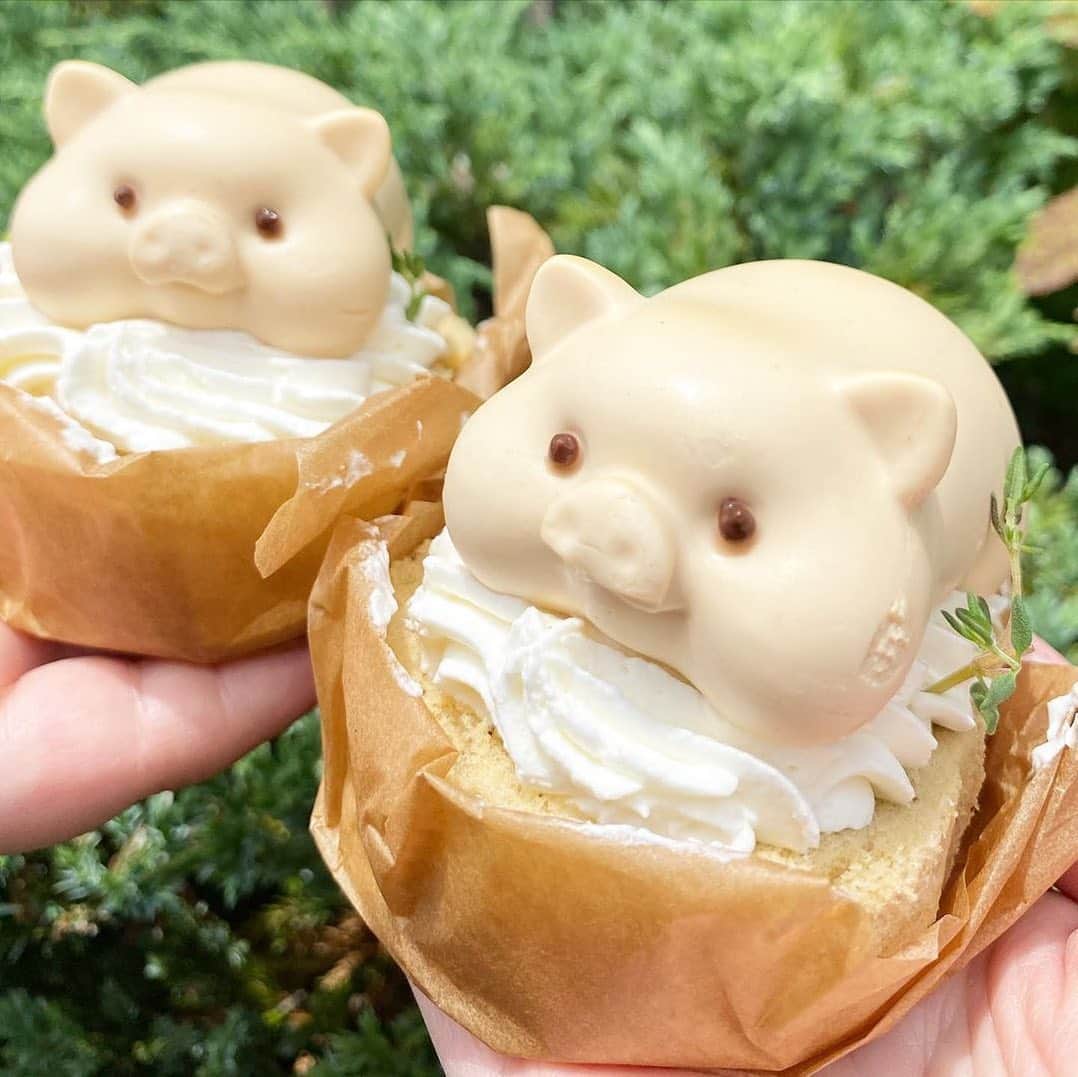 ナゴレコのグルメインスタ