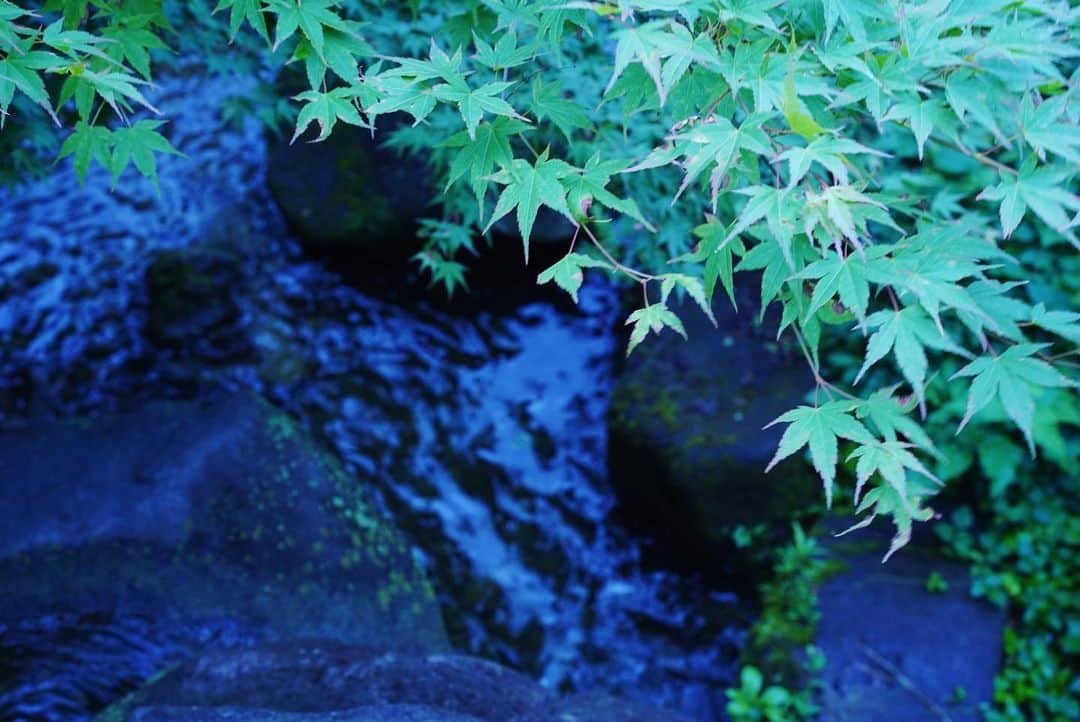 いぶくろ聖志さんのインスタグラム写真 - (いぶくろ聖志Instagram)「どことなく、和を感じる景色。  #camera  #japan #a7iii」6月25日 18時25分 - b.smpl