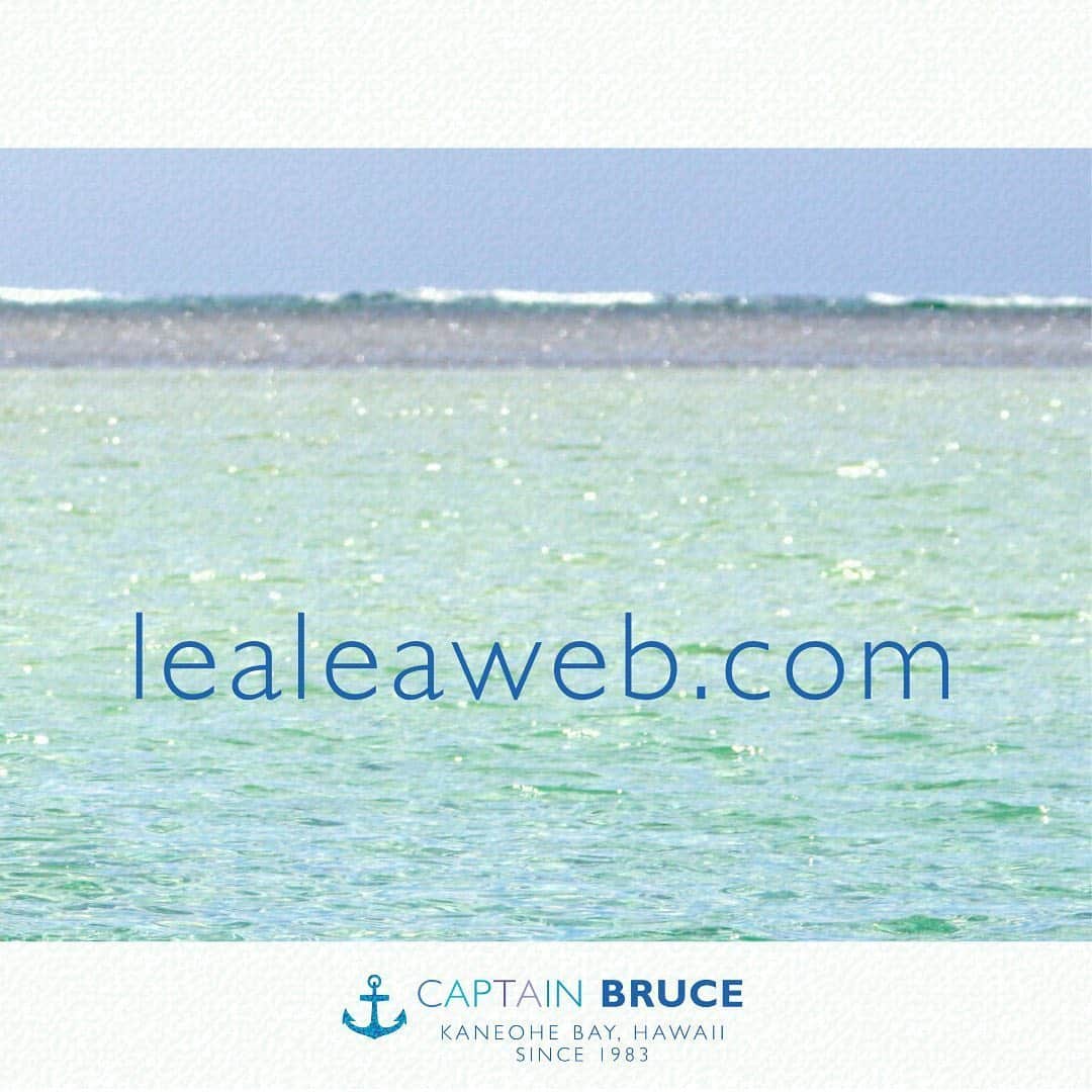 Luxury Cruise by Captain Bruceさんのインスタグラム写真 - (Luxury Cruise by Captain BruceInstagram)「日本の6/27、朝8時から！⁠⠀ 🔹LeaLea企画 🔹⁠⠀ ⁠⠀ キャプテンブルース天国の海Ⓡツアーをライブ配信🌺⁠⠀ 皆様のご参加をお待ちしております。⁠⠀ ⁠⠀ www.lealeaweb.com⁠⠀ ⁠⠀ ⁠⠀ #captainbruce #kaneohesandbar #hawaii #oahu #hi #ahuihou #virtualtour #livetour #lealeahawaii #キャプテンブルース #天国の海ツアー #天国の海 #サンドバーツアー #アフオラカ #ハワイ大好き #オアフ島 #絶景 #海 ⁠⠀ ⁠⠀ 🐢カメさんに会えるかな～ :)」6月25日 18時38分 - cptbruce_hi
