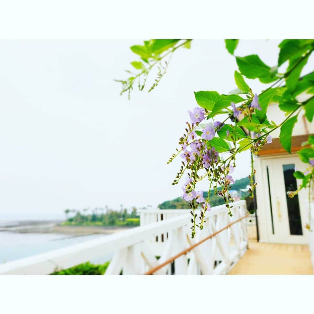 中村まきのグルメインスタ