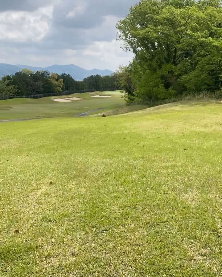 黒澤まさ美のグルメインスタ