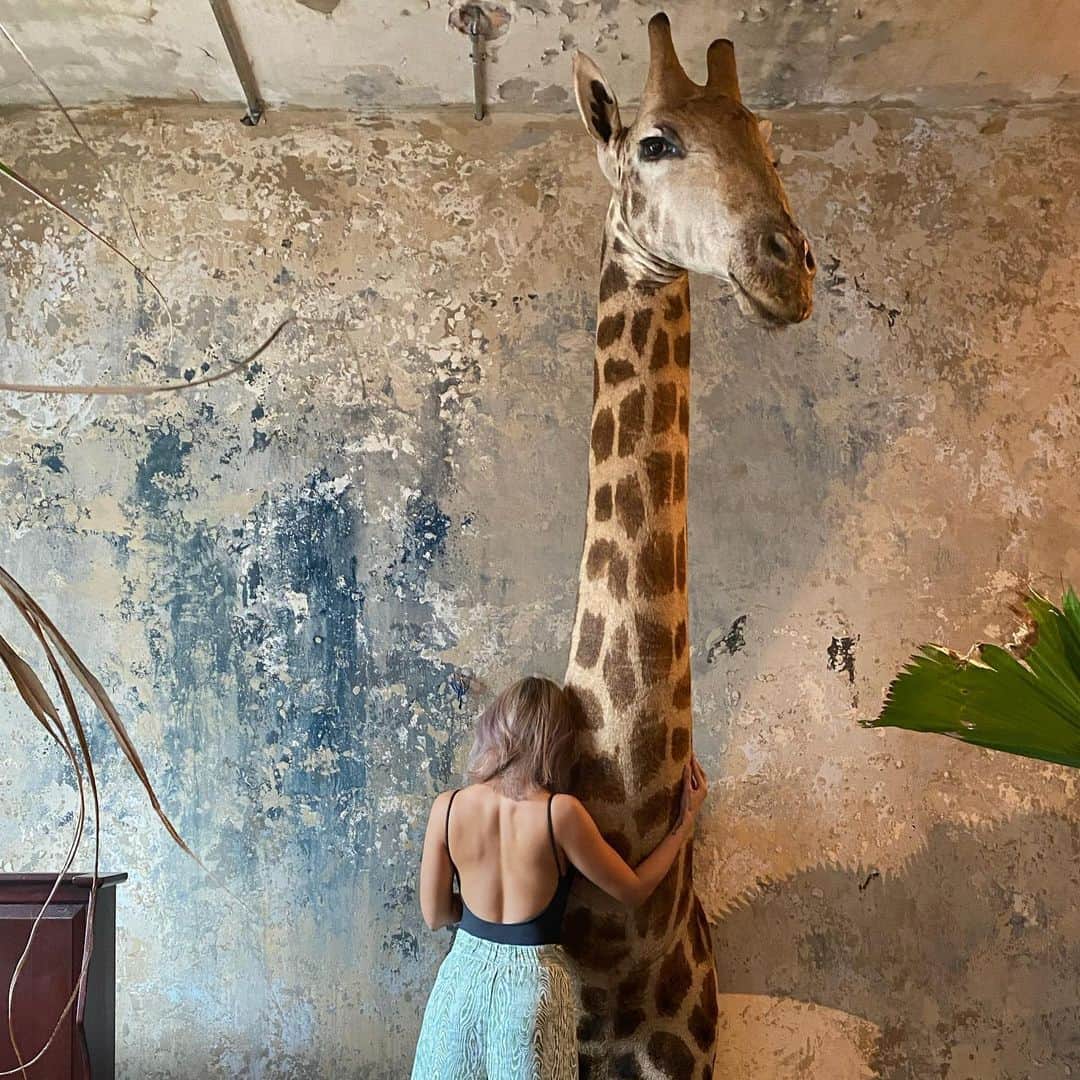 Laila Boonyasakさんのインスタグラム写真 - (Laila BoonyasakInstagram)「Need a big big long hug. 🌧🦒🦒🦒🦒🦒🦒🦒 🦒🦒🦒 ขอโทษนะที่ลวนลามน้องยีราฟ อยากกอดจริงๆ 😅@themustangblu」6月25日 18時59分 - chermarn