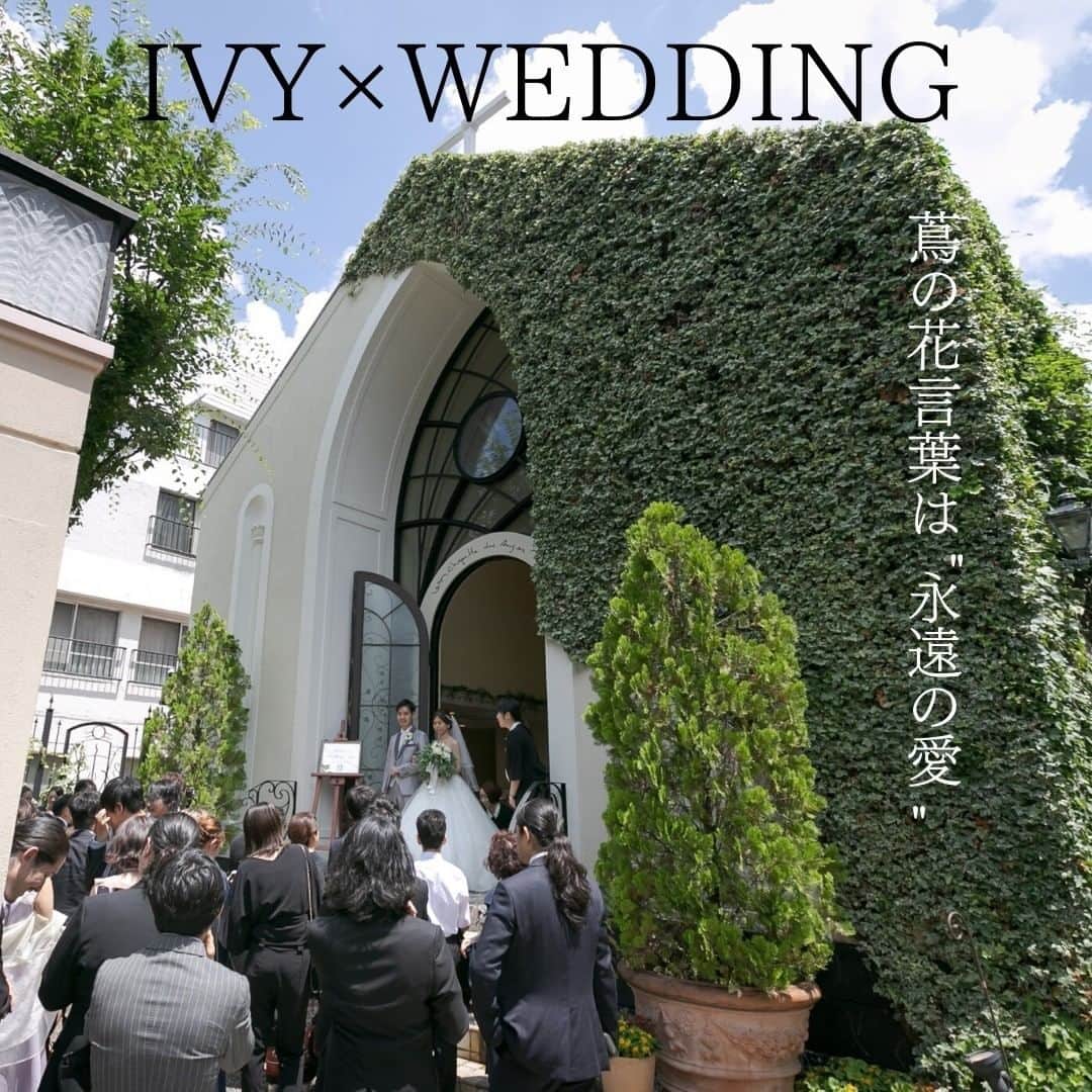 Wedding Park 公式のインスタグラム：「特集『IVY×WEDDING』 ✨こんばんは！ウエディングパークのハナレポ編集部です💁 ※現在ハナレポ2周年キャンペーン開催中！詳細はラストの画像をチェック！ . アイビー（蔦）が印象的な会場の花嫁をピックアップ💓 . ————————————————————— 詳しくは以下のページで掲載中！ ✍️1枚目(表紙) https://s.weddingpark.net/hanarepo/1670/ ✍️2枚目　@m.koma0804_wd https://s.weddingpark.net/hanarepo/1620/ ✍️3枚目 https://s.weddingpark.net/hanarepo/5942/ ————————————————————— . ＊＊＊＊＊＊＊＊＊ @weddingpark では結婚式の素敵なアイデアを紹介しています👰 ＊＊＊＊＊＊＊＊＊ 2020年7月2日（木）、7月3日（金）の2日間、ウエディングパークが初のインスタLIVEを開催。 都内人気会場とLIVEを繋いで会場の魅力をご紹介！詳しくはプロフィールのリンクをチェック ＊＊＊＊＊＊＊＊＊ #ウエパ #ハナレポ #ウエディングパーク #オリジナルウェディング #結婚式レポ #コンセプトウェディング #結婚式DIY #南青山ルアンジェ教会 #南青山サンタキアラ教会 #パラッツォドゥカーレ麻布」