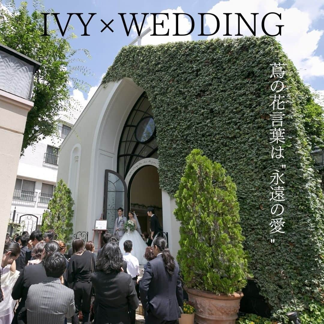 Wedding Park 公式のインスタグラム