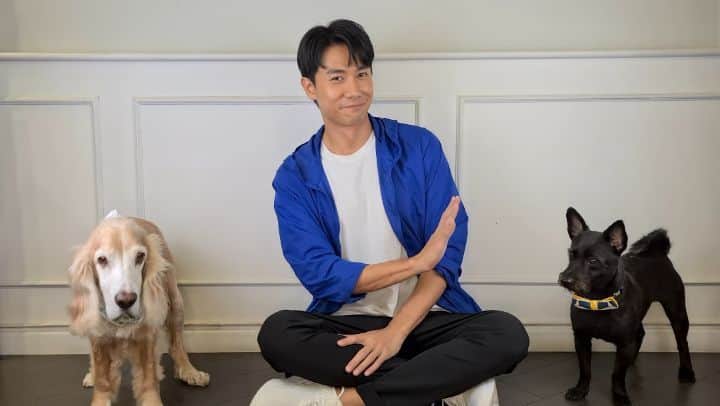 デスモンド・タンのインスタグラム：「We are doing great so far! Continue to stay safe, stay strong, stay united! We will get through this together, Singapore! 大家一起保持安全, 保持坚强, 保持团结噢。加油，新加坡！  P.S. Hoshi and Udon did a great job during the DIY filming at home! 配合度 100%! What do you think? 😂  #SGUnited #SingaporeTogether」