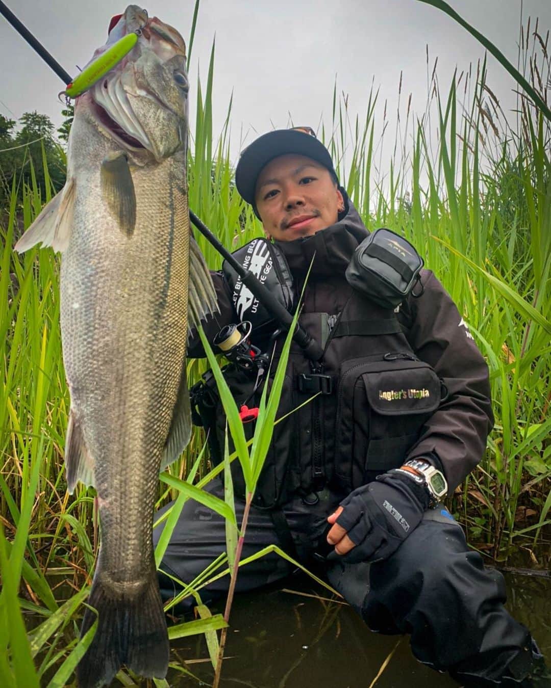 野中泰輔のインスタグラム：「めちゃ良い魚でございます🐟🎣 ROD: APIA GRANDAGE96ML REEL: VENTURA SPEED CUSTOM 2508R-H LINE:SUNLINE CAREER HIGH6 0.8号 LEADER:SUNLINE CUT IN 20LB LURE:APIA LAMMTARRA BADEL105  #bboytaisuke #趣味 #apia #sunline #RBB #双進」