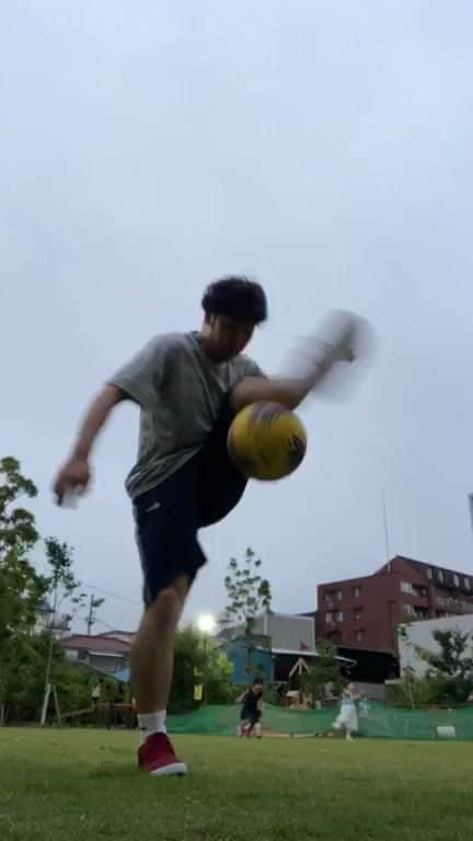狩野大のインスタグラム：「ドラゴンフライとネックキャッチ 突如乱入するちび犬とちびっこちゃん。」