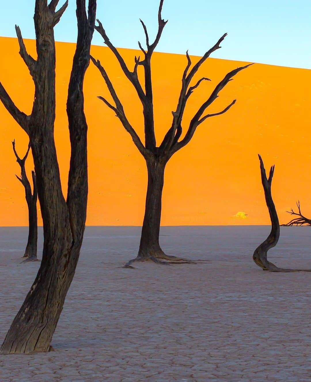 田島知華のインスタグラム：「【Namibia🇳🇦Namib Desert】I love “Deadvlei”. I have always wanted to visit. The world's oldest desert.🐫 砂漠や秘境のリクエストも頂いたので、今日はナミビアのナミブ砂漠にあるデッドフレイで撮影した写真です！  砂漠の真ん中に佇む枯れ木。死の沼という意味を持つデッドフレイでは、朝日が昇る瞬間に絵画のような景色が見られます。 行くまでは大変だけど、"旅"を感じられる素晴らしい場所でした。 Copyright ©︎ TAJIHARU _ #たじはるトリップ #TAJIHARU_namibia #アフリカ #ナミビア #ナミブ砂漠 #砂漠 #女子旅 #女一人旅 #カメラ女子 #トラベルフォトライター #africa #namibia #namib #namibdesert #namibnaukluft #deadvlei #dune45 #africatravel #igersafrica #igersnamibia #beautifuldestinations #earthpix #discoverglobe #discoverearth #discover_earthpix #wonderful_places #beautifulplace」