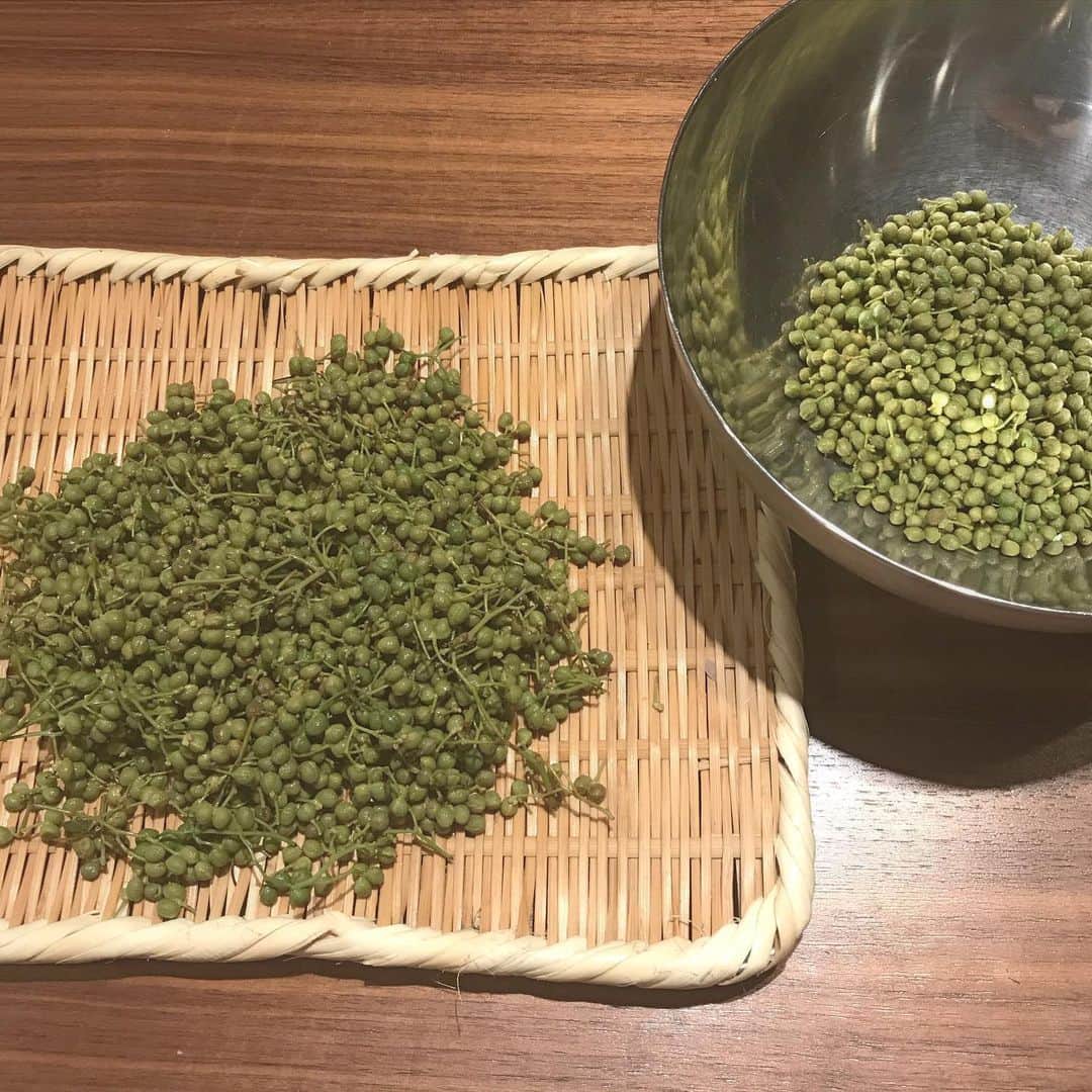 野波麻帆さんのインスタグラム写真 - (野波麻帆Instagram)「山椒の実の塩漬けと醤油漬けを。 下処理、めちゃくちゃ時間かかるんだけどこの単純作業、結構好き。。🥺」6月25日 20時07分 - mahononami