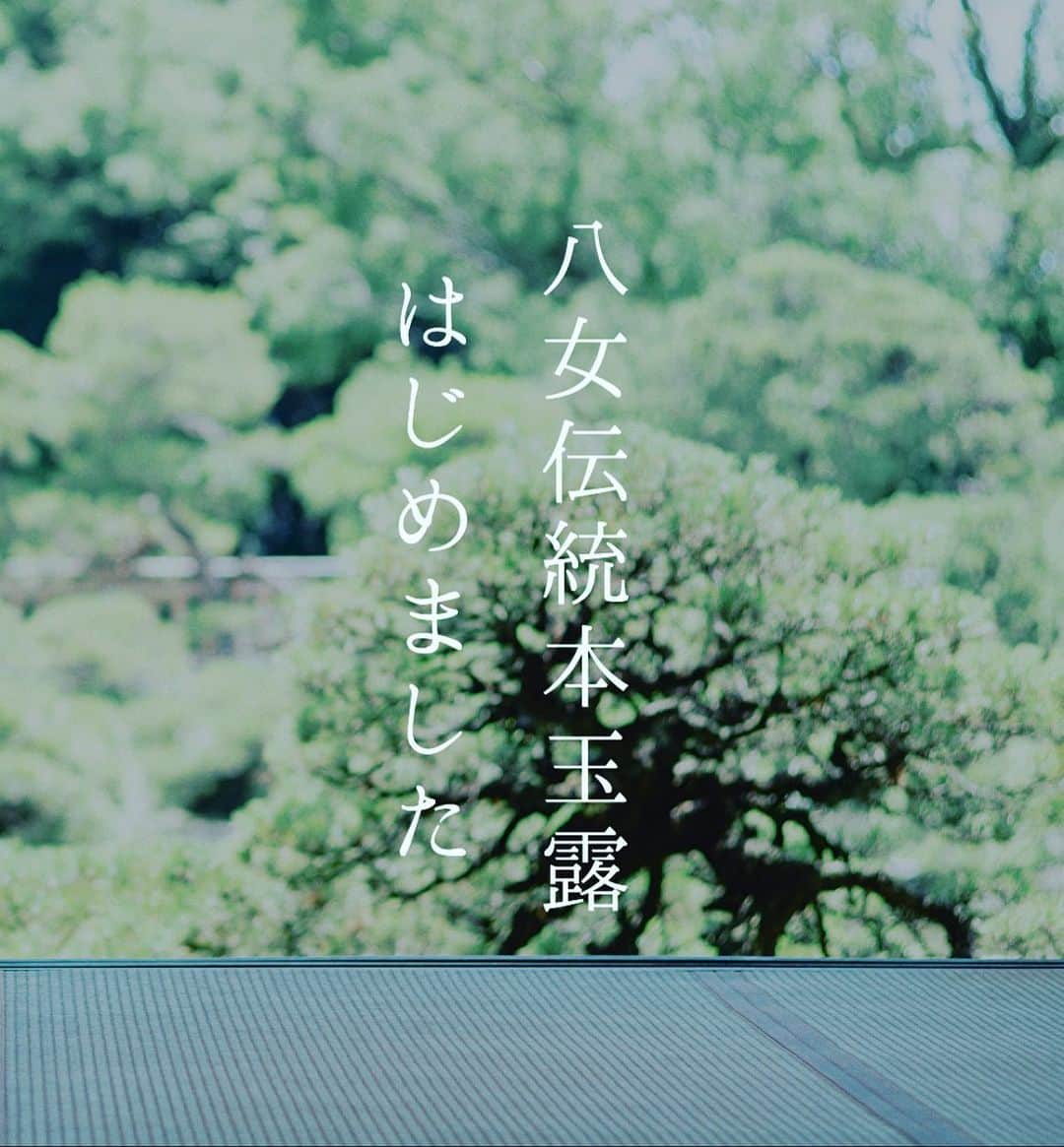 柳川藩主立花邸御花 | Yanagawa Ohanaさんのインスタグラム写真 - (柳川藩主立花邸御花 | Yanagawa OhanaInstagram)「﻿ 八女伝統本玉露。﻿ ﻿ 日本で一番、ていねいに。﻿ 効率とは真逆の伝統的な育て方に﻿ こだわり、﻿ ﻿ 複雑で深いうまみ、﻿ 独特の香りを守り続けています。﻿ ﻿ そんな八女茶を、﻿ 「ときの流れを愛でるプラン」で﻿ はじめました。﻿ ﻿ #柳川藩主立花邸御花﻿ #御花#柳川﻿ #八女茶﻿ #八女伝統本玉露﻿ #日本の景色﻿ #立花家﻿ #歴史﻿ #旅行﻿ #ホテル﻿ #料亭旅館」6月25日 20時16分 - tachibanateiohana