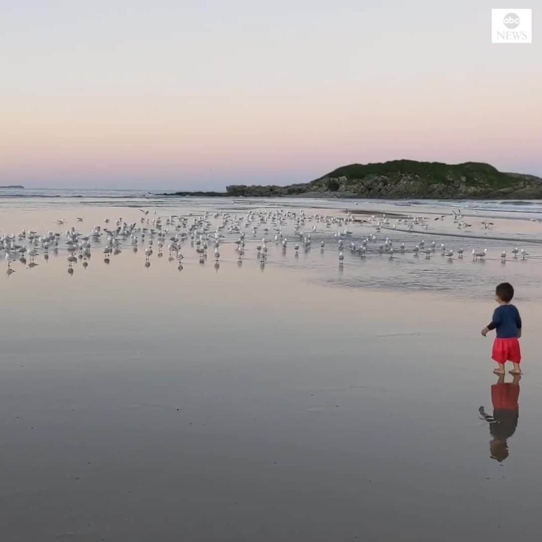 ABC Newsのインスタグラム