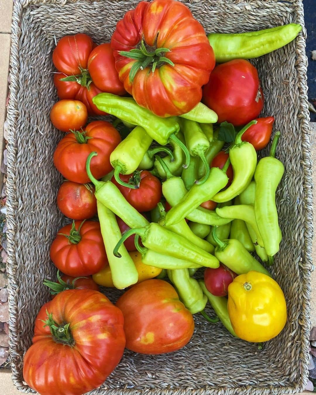 ケイラ・アイトサインズさんのインスタグラム写真 - (ケイラ・アイトサインズInstagram)「THROWBACK! We grew AMAZING summer fruits and vegetables in my garden this year. 😍😍⁣ ⁣ Usually each season my Papou comes over to my house to help us plant fruit and vegetables, but he obviously hasn't been able to do that this year so my garden is really bare for winter. 😭 We DO have 2 orange trees though so at least we will still have fresh oranges!!⁣ ⁣ Lucky my grandparents live only 1 minute away so I have access to so many winter vegetables still!! ⁣ ⁣ #BBGcommunity, have you got a vegetable patch at home? What do you grow?⁣ ⁣ #BBGatHome #SWEATatHome」6月25日 20時30分 - kayla_itsines