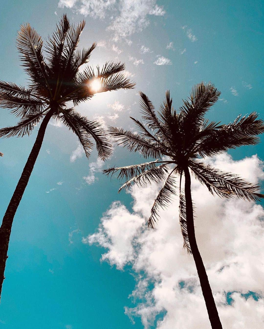 ジュリー・サリニャーナのインスタグラム：「Oh, these summer dayzzzz!! 🌴 omw to the hair salon, it’s been 4 months! My hair needs some love,  so I’m excited to see my dear @nikkilee901 at @ninezeroone !」