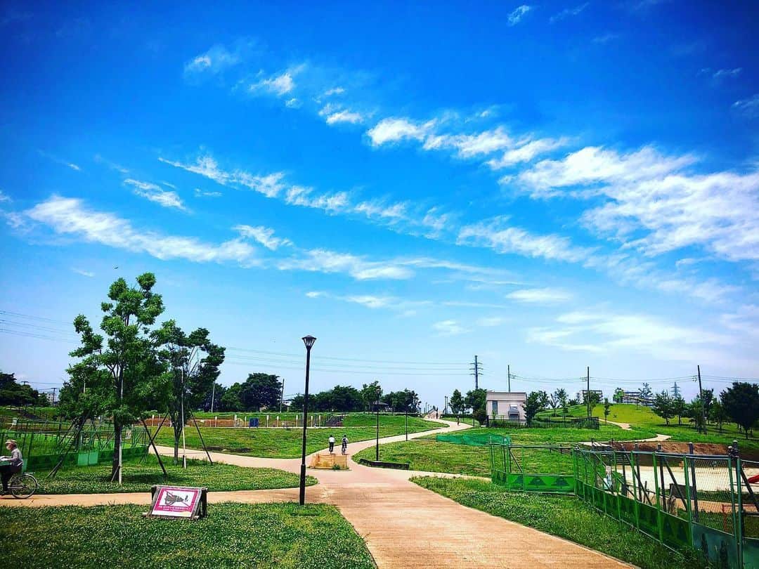 羽原信義さんのインスタグラム写真 - (羽原信義Instagram)「ゆるやかな坂道が魅力の、空が広い公園。晴れた休日には、のんびり歩きたくなる場所です。」6月26日 6時07分 - nobuyoshi_habara