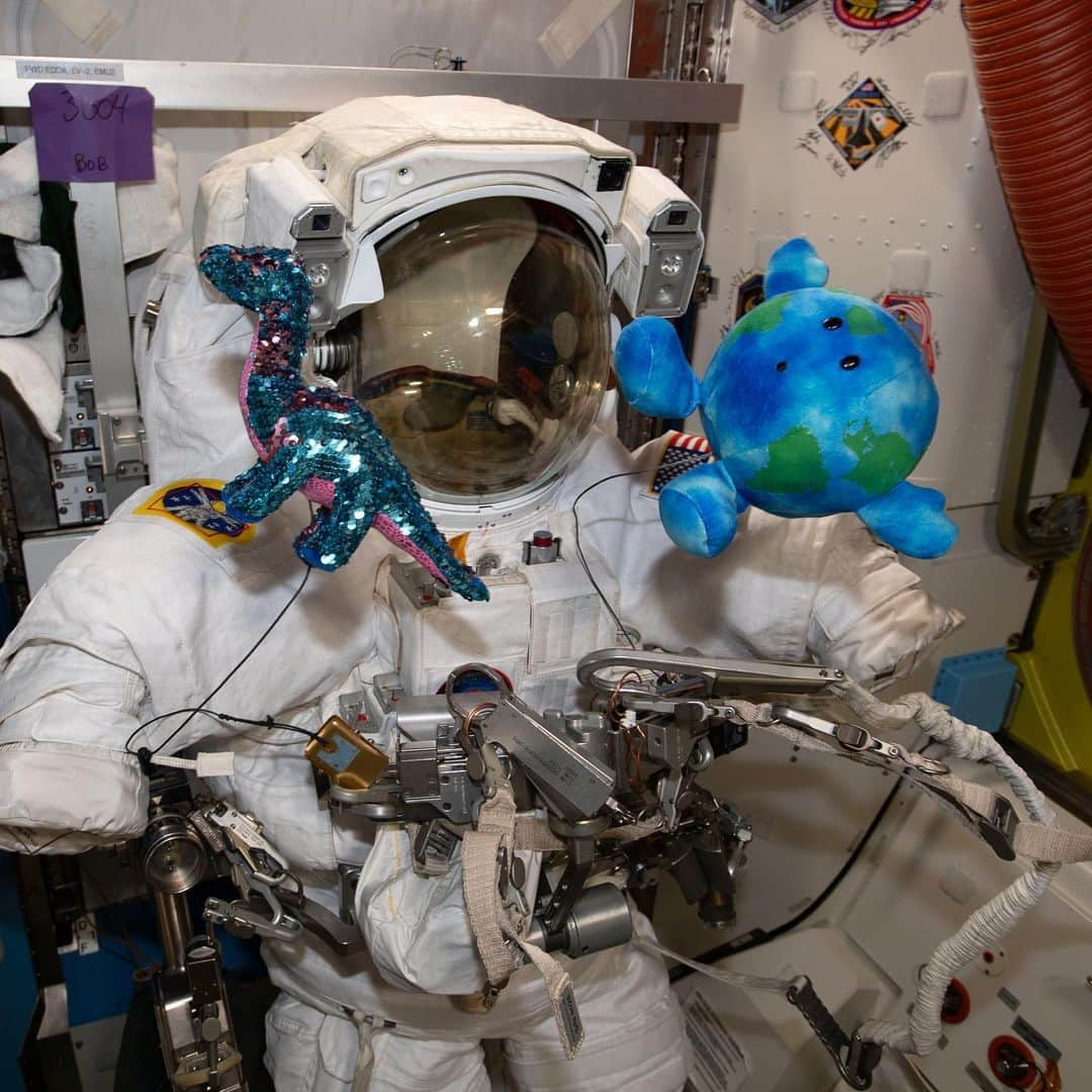 国際宇宙ステーションさんのインスタグラム写真 - (国際宇宙ステーションInstagram)「Astronauts Chris Cassidy and Bob Behnken are in final preparations today ahead of Friday’s spacewalk to replace batteries on the station. A U.S. spacesuit is pictured surrounded by a pair of plush-doll mascots, Tremor and Little Earth, delivered aboard the first two SpaceX Crew Dragon vehicles. #nasa #spacex #plush #doll #suit #spacesuit #international #space #station」6月26日 6時45分 - iss