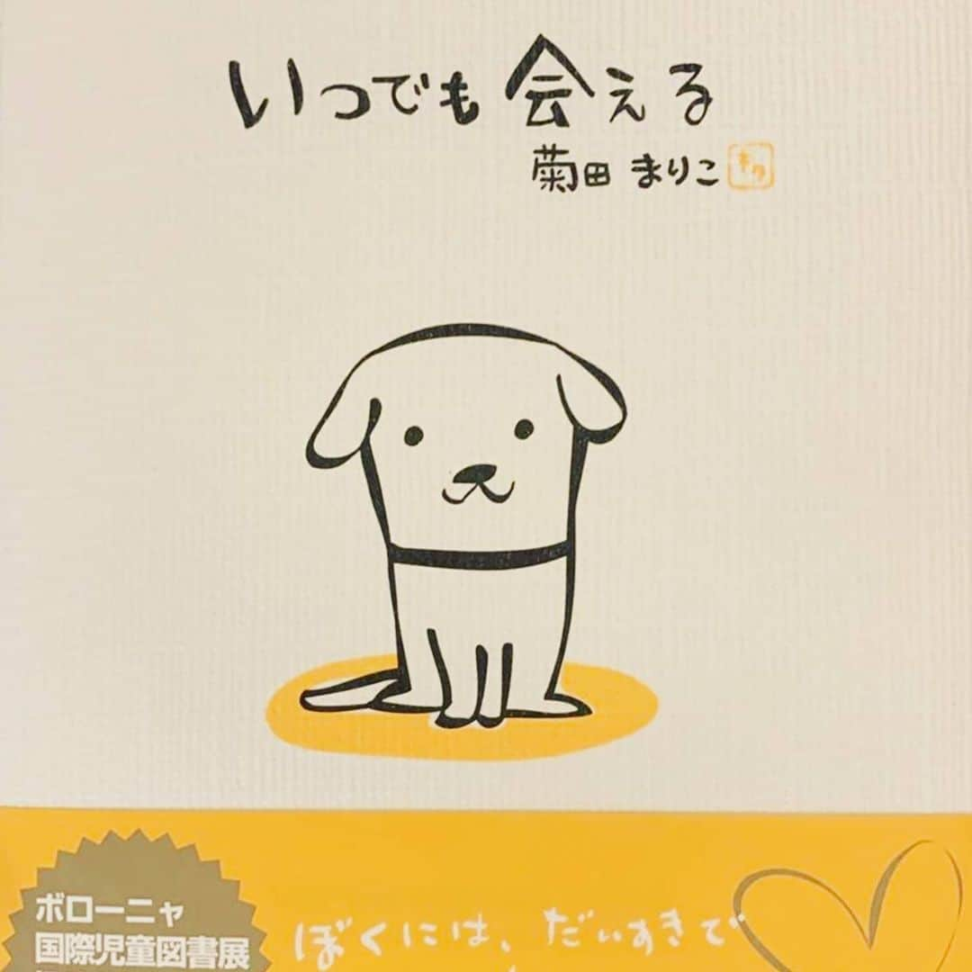 彦摩呂さんのインスタグラム写真 - (彦摩呂Instagram)「先日久しぶりに美容室に 行きました。お世話になってる 美容師さんちの、ワンちゃんが、 亡くなられて奥様もかなり落ち込んでらっしゃる様子でした。 私も愛犬を亡くした経験があり、 一冊の絵本で救われました。 その絵本をプレゼントさせて頂きました。 ワンちゃんとの幸せな時間は永遠ではありません。いつか必ず別れの時を迎えます。 だからキラキラの思い出をいっぱい作って一緒に過ごす幸せを心に刻みたい。 そして来るべき日を迎えたら 全てを受け止めて、少しずつ、ゆっくり前に進んで行きたいんです。 中々、思うようには行かないけどね。 でも、目を閉じると浮かんで来ます。心に思えば「いつでも  会える」いつも、そばにいるよ。 ずっと、そばにいるよ。  #彦摩呂 #ワンちゃん #絵本 #ドッグロス#トイプードル #トイプー」6月25日 22時17分 - hikomaro_honmono