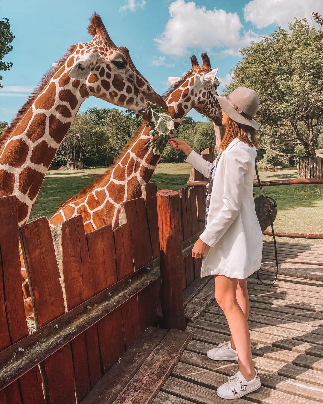 バーボラ・コディトヴァのインスタグラム：「One of the most amazing experiences at @safariparkdvurkralove 🦒 The Safari Park is active in the animal protection (they’re bringing rhinos back to nature for example 🦏) and I am very proud to have something like this in the Czech Republic. Make sure to pay them a visit!  PS: This is experience is available to everyone who’s staying in their hotel! 🍃」