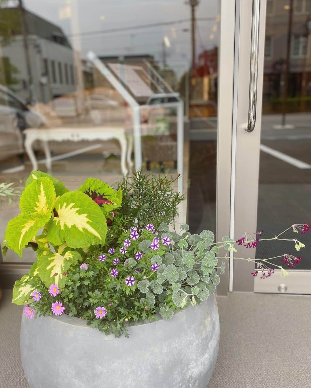 MILLE ECLAT.のグルメインスタ