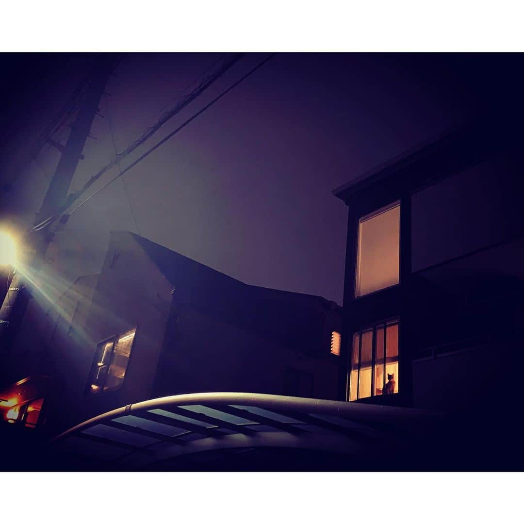 kainatsuさんのインスタグラム写真 - (kainatsuInstagram)「夜ウォークから戻ってきたら窓辺にシルエット。わかるかな？」6月25日 23時17分 - natsugram_life