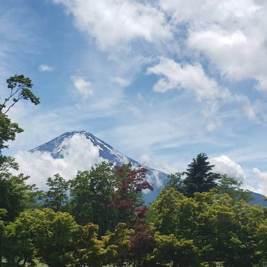 綾小路きみまろさんのインスタグラム写真 - (綾小路きみまろInstagram)「こんばんは。 綾小路きみまろです。  綺麗なチョウチョ🦋発見❤️ 明日も良いお天気になりますように✨  みなさま おやすみなさい😌🌃💤 #綾小路きみまろ #河口湖 #富士山 #きみまろ茶やからの富士山ビュー」6月25日 23時17分 - ayanokojikimimaro_official