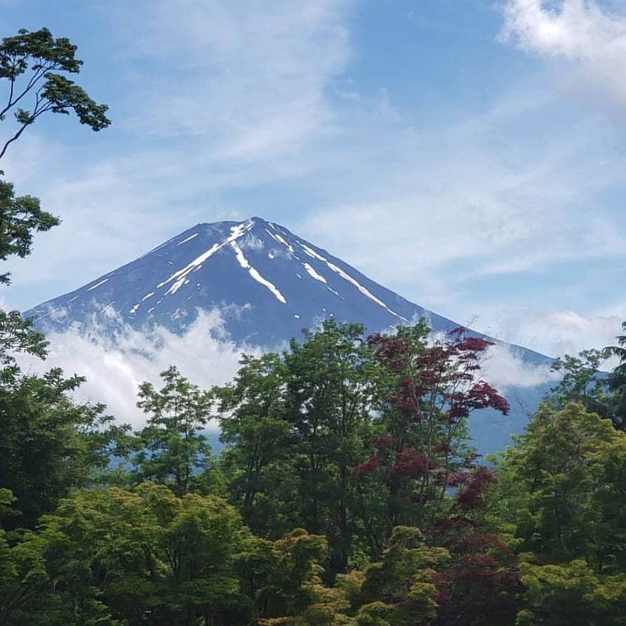 綾小路きみまろさんのインスタグラム写真 - (綾小路きみまろInstagram)「こんばんは。 綾小路きみまろです。  綺麗なチョウチョ🦋発見❤️ 明日も良いお天気になりますように✨  みなさま おやすみなさい😌🌃💤 #綾小路きみまろ #河口湖 #富士山 #きみまろ茶やからの富士山ビュー」6月25日 23時17分 - ayanokojikimimaro_official