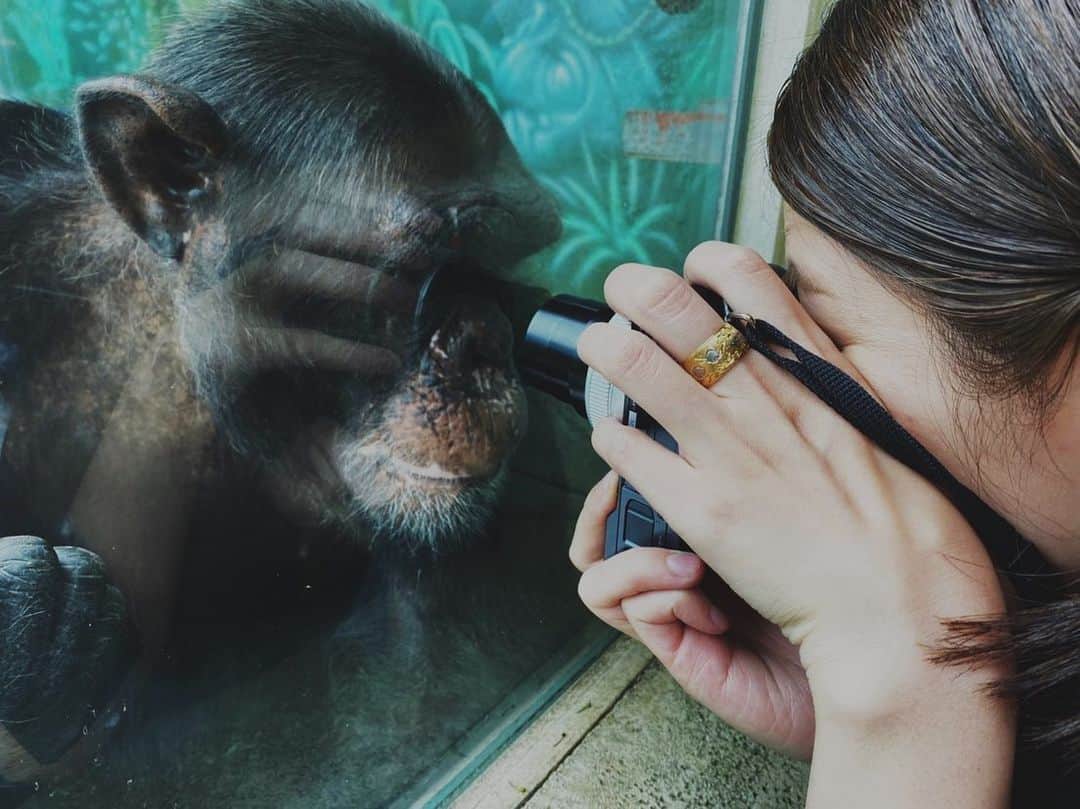 のインスタグラム：「動物の 今を生きるという事 私はできてるだろうか？ と動物と会うと いつも考えさせてくれて いつも私に教えてくれる。」