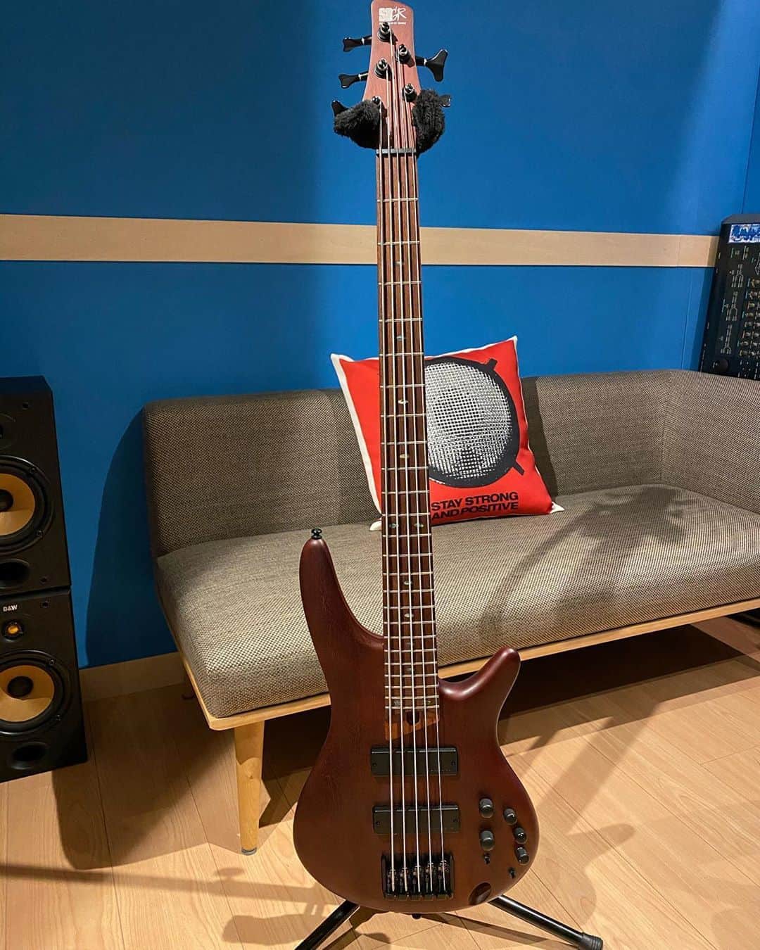 mastasimonのインスタグラム：「My New Bass !! 30年ぶりにベースゲット！ 初心者頑張ります！  #bass #ibanezbass」