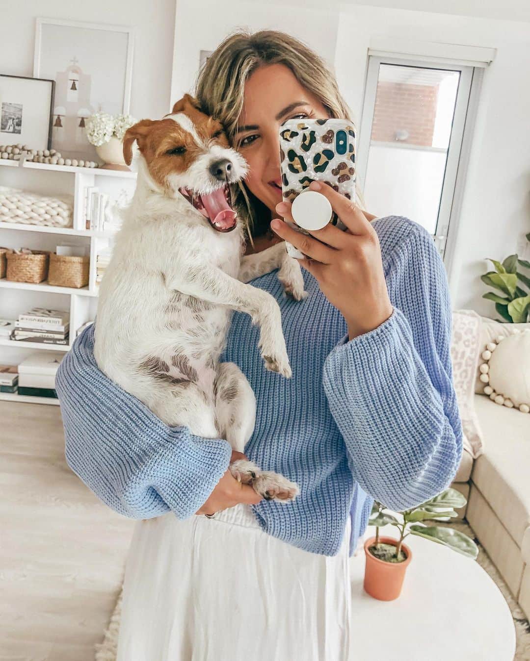Stephanie Sterjovskiさんのインスタグラム写真 - (Stephanie SterjovskiInstagram)「Good morning from @lucyjollythejrt & I 👋👉 Swipe the next photo for a hilarious selfie 🤣 Feels good to be back in our condo again (to catch you up, we had a leak, then Reno’s got pushed/paused) and that had us out for 7 months (since last December). So nice to get into our routine again, finish those renos, reorganize/de clutter and start fresh 🙌 Have so much fun content coming up (back on YouTube too!) 💫🥰 Starting to feel more motivated and re-inspired slowly but surely. Leave me any requests down below (also polling in stories)! . Outfit details linked in the @liketoknow.it app or on my blog under “shop” 📲🖥 http://liketk.it/2R88h @liketoknow.it #liketkit #StayHomeWithLTK #outfitoftoday #beachpants」6月26日 0時23分 - stephsjolly