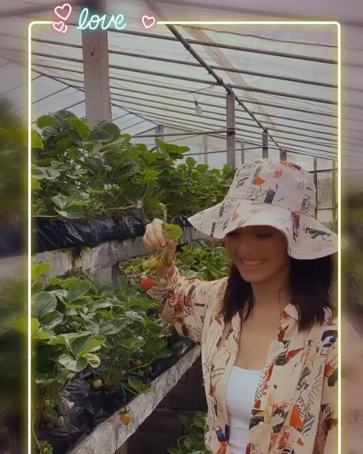 ラライン・シャーのインスタグラム：「🍓 Strawberry shortcake feels 🍓 #strawberrypicking」