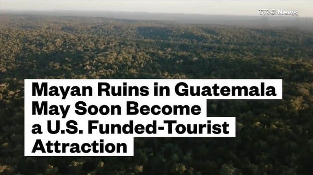 キャメロン・ラッセルのインスタグラム：「#Repost @rainforestalliance ・・・ The forest communities we work with in Guatemala’s magnificent Maya Biosphere Reserve are under threat—and so are their livelihoods and world-renowned conservation achievements. Sen. James Inhofe (R), a vocal climate change denier, has introduced bill S.3131 to the US Senate that would allocate USD$60 million to a US-backed tourism project that threatens three of the nine communities.⁣⁣⁣ ⁣⁣⁣ These communities, our longtime partners, have maintained a near-zero deforestation rate for more than 20 years, which is just one reason @yaleenvironment360 calls them a “shining beacon of conservation.” They make a living from the forest sustainably, only harvesting only one tree per hectare every 40 years, and creating low-impact businesses from nuts and vegetation gathered from the forest floor. They have even achieved net forest gain in areas that were once degraded. Outmigration from these areas is virtually nil — because local economies thrive. ⁣⁣⁣ ⁣⁣⁣ But this US-funded tourism project threatens all that: It threatens livelihoods, families, and forests. In the words of Lindoro Hernández, head of the carpentry shop in the community of Carmelita, “They want to shut the communities out.”⁣⁣⁣ ⁣⁣⁣ We encourage you to watch the full @vicenews IGTV video in our Stories. A concerned citizen who saw it has also created a change.org petition. While the Rainforest Alliance does not believe, as the petition states, that senators who co-sponsored the bill are “trying to make money off of the local communities and US tax payers,” we do agree that bill S.3131 should be defeated. We invite you to stand with the communities and sign and share the petition.⁣ Link in bio.⁣⁣ ⁣⁣⁣ #RainforestAlliance #MayaBiosphereReserve #Guatemala #SavePeten #SalvemosPeten #SaveElMirador」