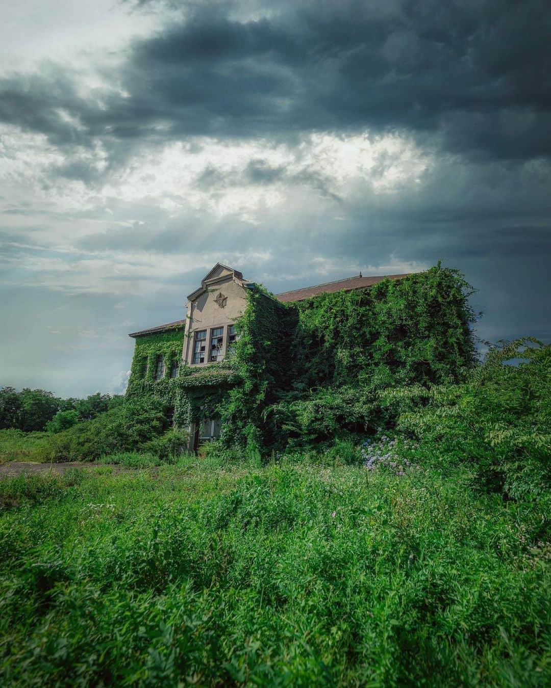 のインスタグラム：「lose control 𓆲 𓆲 𓆲 #abandonedafterdark #urbex_supreme #desertedplaces #abandon_seekers_ #urbex_regards #welcometwoneverland #kings_abandoned #abandonedcentral #the_urbex_institute #renegade_abandoned #rsa_preciousjunk #glitz_n_grime #gotrespassing #savethedecay #bandorebelz #abandoned_addiction #abandoned #urbex #global_urbex #urbex_utopia #abandonig #allabandoned #urbex_kings #sombrexplore #grime_lords #urbxtreme #all_is_abandoned #discarded_butnot_forgotten #廃墟 #made_in_decay」