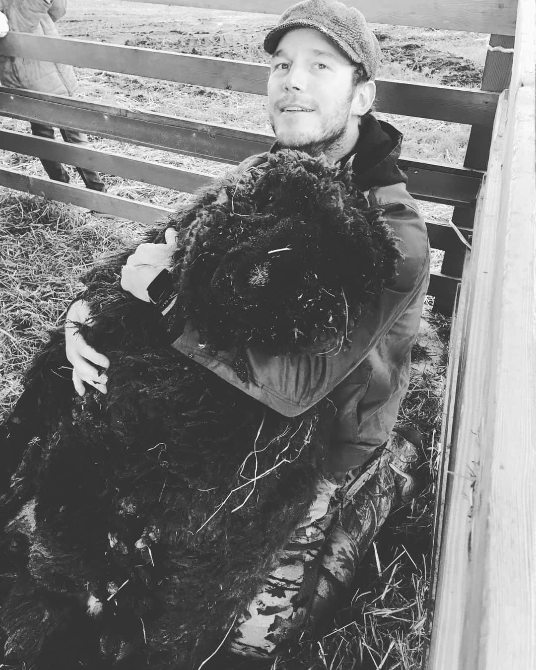 クリス・プラットのインスタグラム：「It’s a solemn day at #StillwaterRanch as Prince Rupert the ram passed away. 🥺 He took his final rest # right next to the still water of the lake under a 100 year old apple tree. I’m very sad. I was the only one who could wrestle him down to clip his hooves. He was a big cuddler and sported the thickest most beautiful chocolate coat. He will live on in our hearts and at the farm as many of his lambs will enter the flock this year. #RIPrupert」