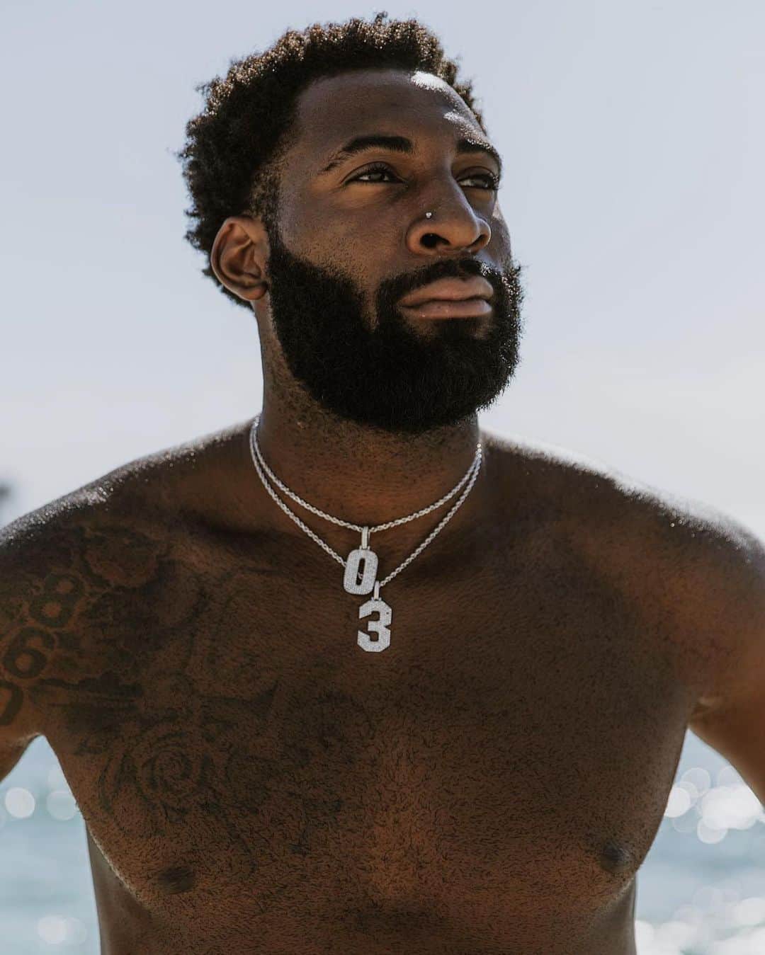 アンドレ・ドラモンドのインスタグラム：「ARE YOU NOT ENTERTAINED!? 🦋」